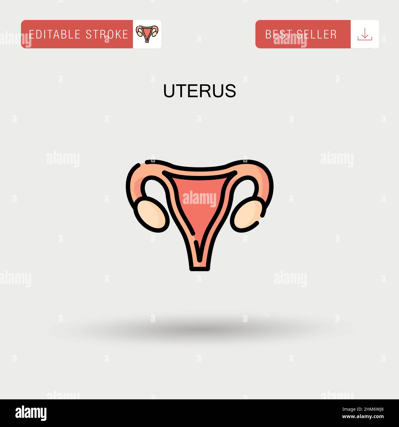 Icône de vecteur simple de l'utérus. Illustration de Vecteur