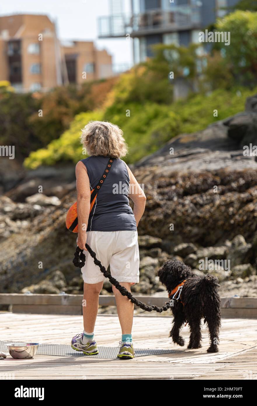 Femme âgée marchant son petit chien dans une rue de Park de la ville. Femme âgée dehors avec son chien. Vue sur la rue, photo de voyage, mise au point sélective Banque D'Images
