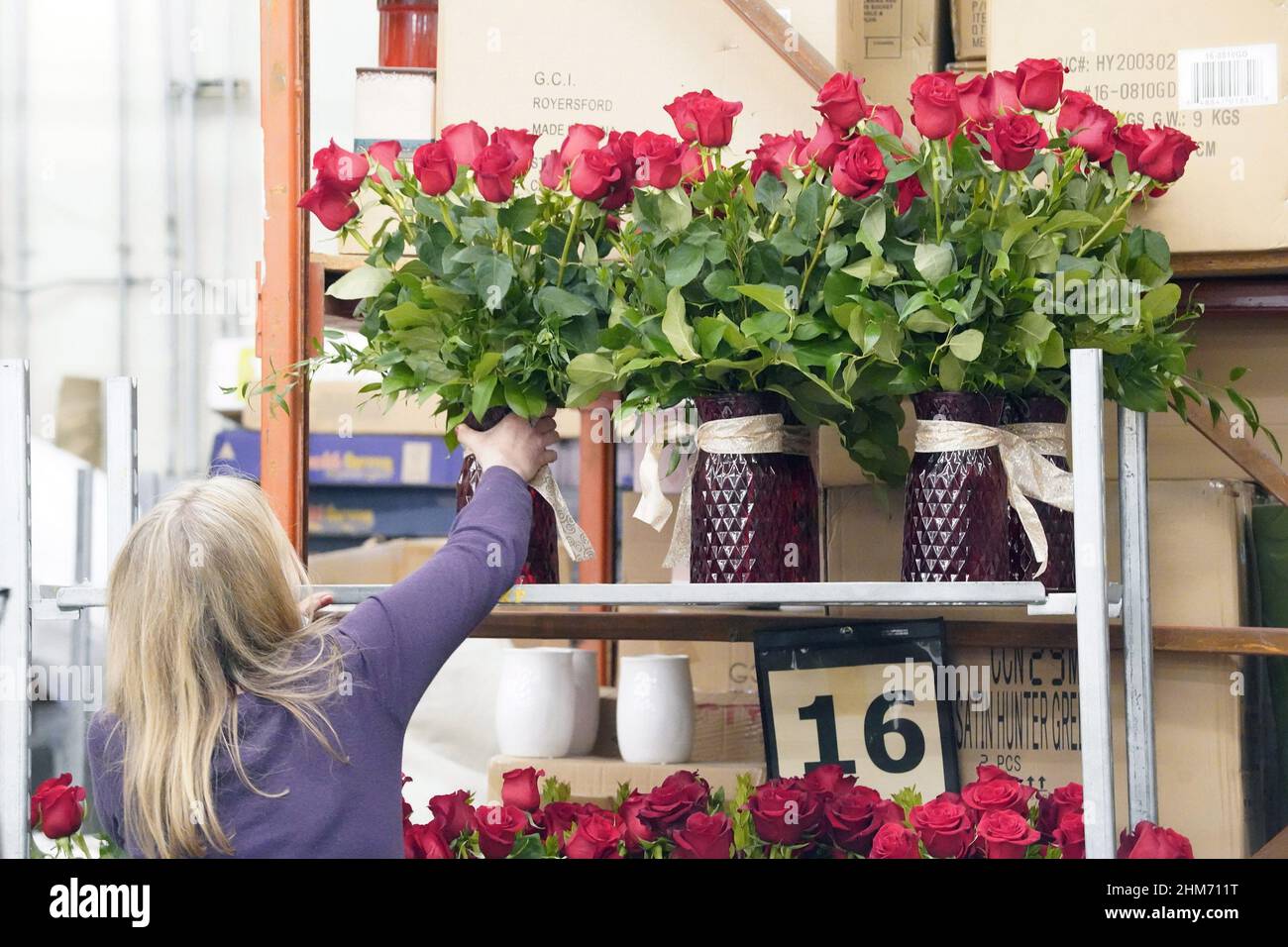 St. Louis, États-Unis. 07th févr. 2022. Les arrangements de roses sont placés sur une étagère avant d'aller dans un réfrigérateur pour la livraison pour la Saint Valentin à Walter Knoll Florists à Saint-Louis le lundi 7 février 2022. Photo par Bill Greenblatt/UPI crédit: UPI/Alay Live News Banque D'Images