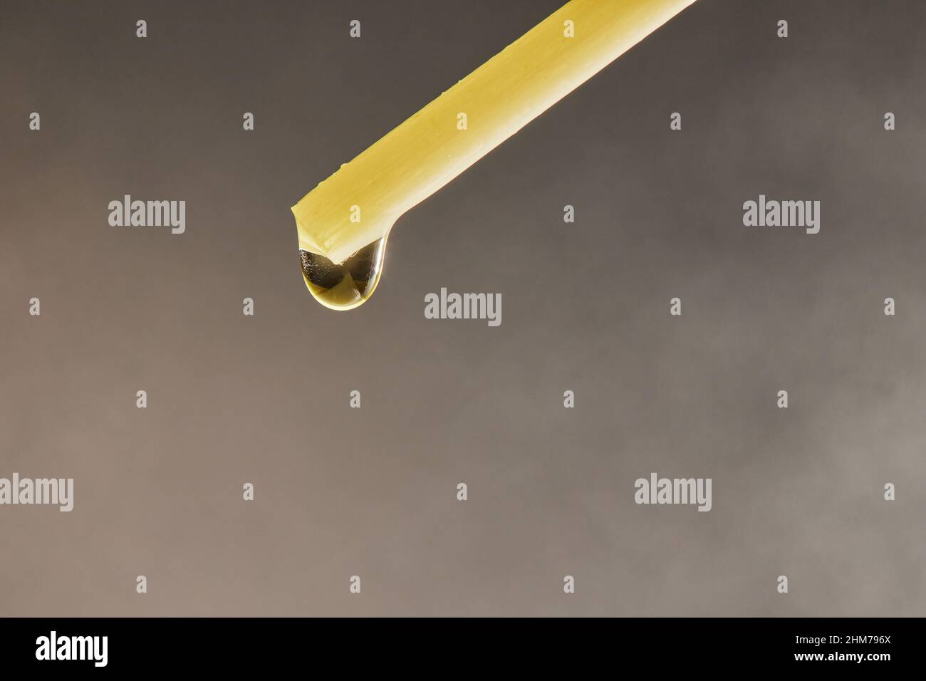 Une goutte d'huile aromatique s'écoule du bâton d'encens du diffuseur.Vue avant.Photo macro. Banque D'Images