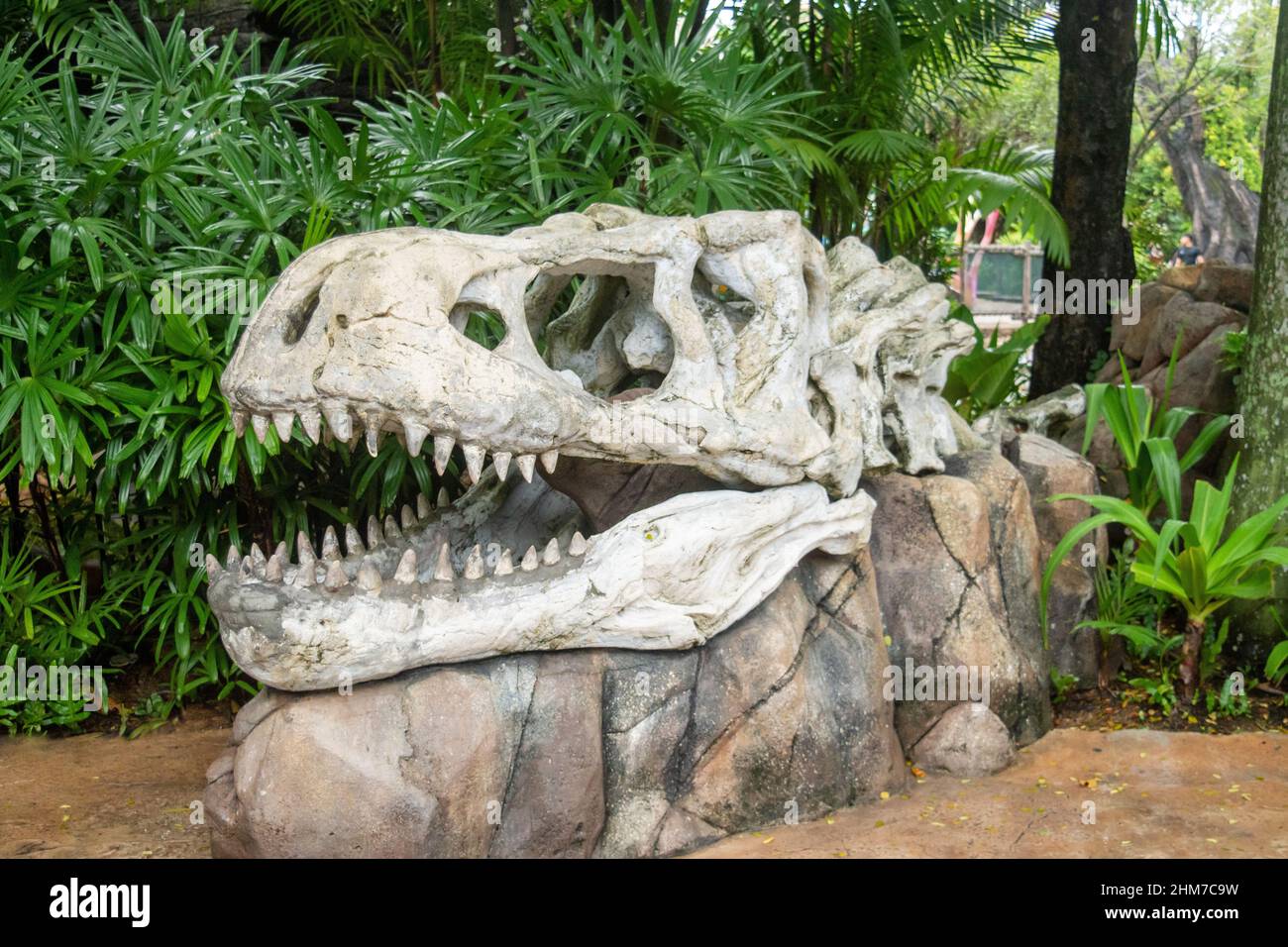 Tête de dinosaure à Universal studios, Singapour Banque D'Images
