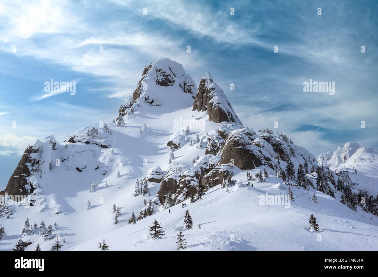 Ciucas en hiver, les Carpates roumains. Sapins et genévriers pleins de neige gelée. Il y a des randonneurs dans l'image. Banque D'Images