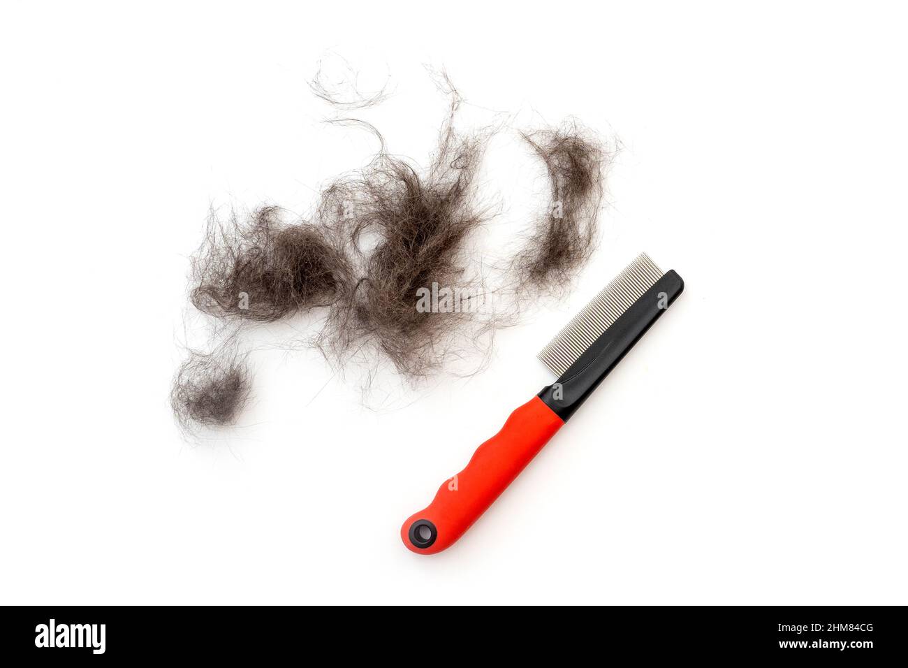 Tas de fourrure noire et de groomer ou de furminator pour enlever la fourrure d'animal isolée sur blanc Banque D'Images