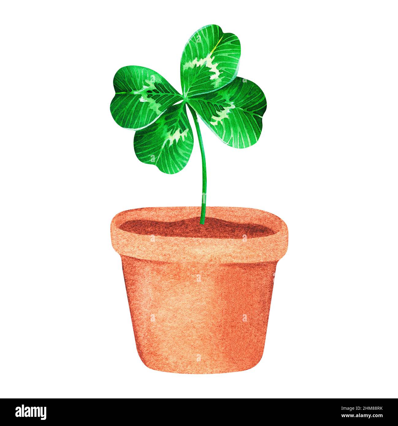 Trèfle à quatre feuilles en pot. Saint-Patrick. Illustration aquarelle. Isolé sur un fond blanc. Pour votre conception. Banque D'Images