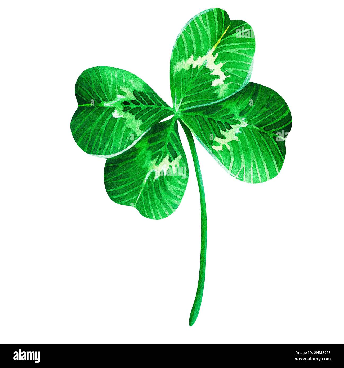 Trèfle à quatre feuilles. Saint-Patrick. Illustration aquarelle. Isolé sur un fond blanc. Pour votre conception. Convient aux cartes postales, invitations. Banque D'Images