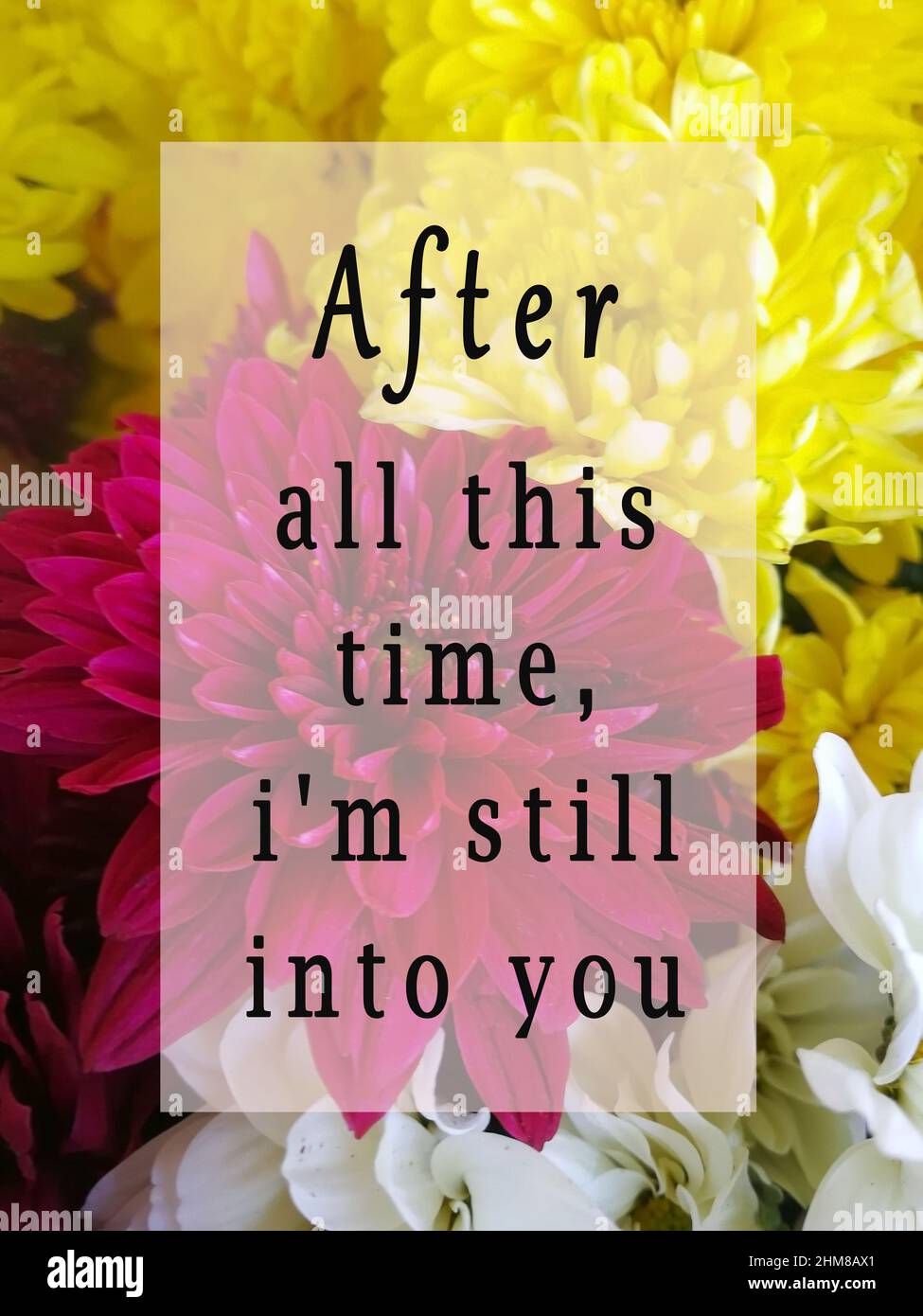 Citation D Amour Sur Beau Bouquet Lumineux De Fleurs Rouges Et Fragment Photo Stock Alamy