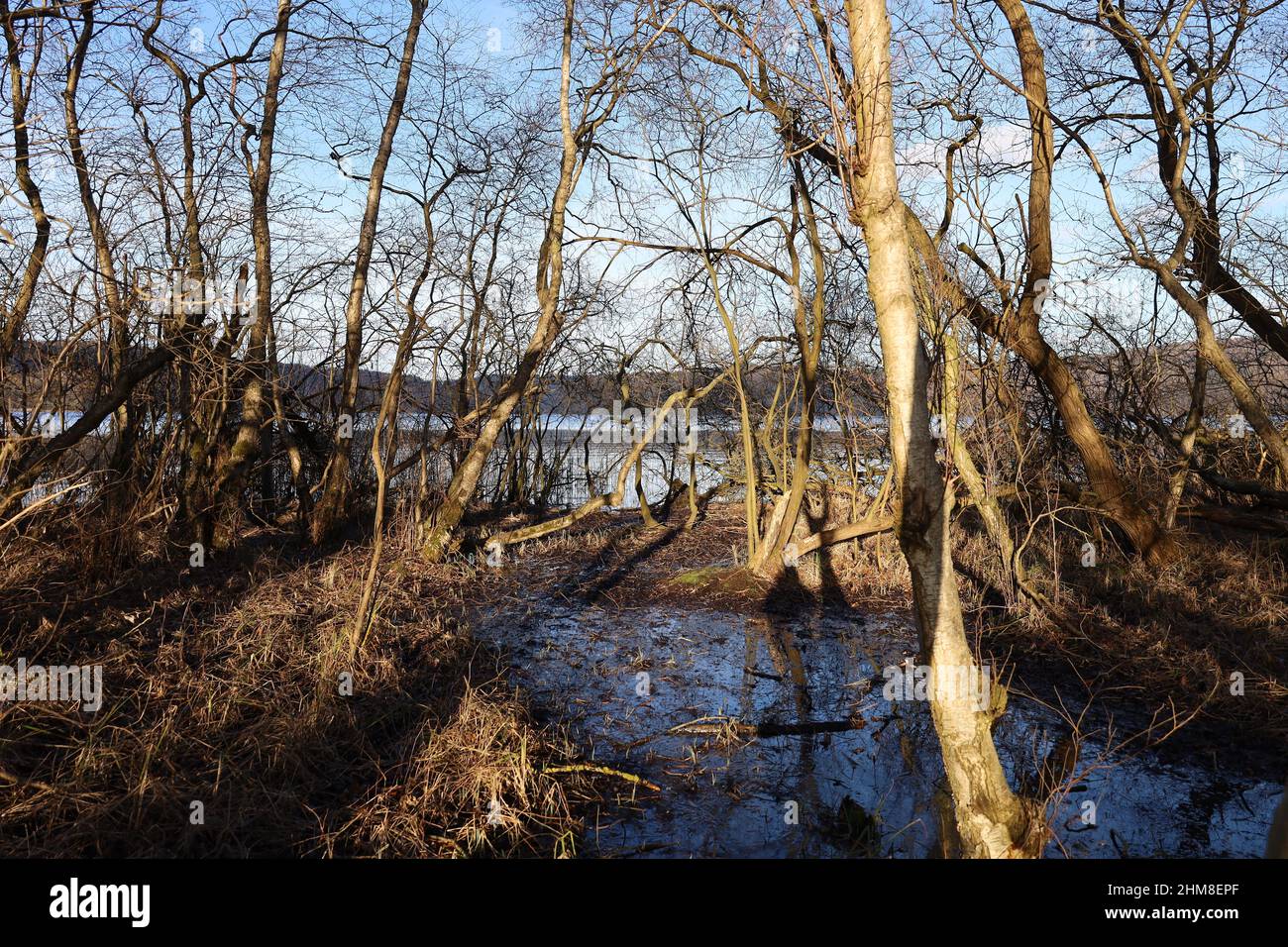 Maria Laach, Laacher See, Allemagne, février 2022, vue sur le lac juste avant le coucher du soleil dans la belle lumière du soleil et le temps avec ciel bleu Banque D'Images