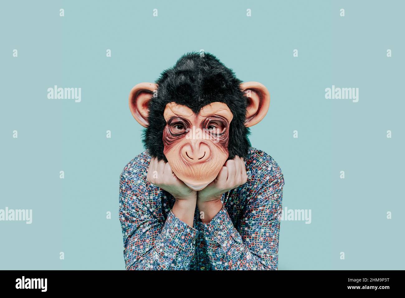 un jeune homme, portant un masque de singe, regarde l'observateur tandis  qu'il soutient son visage dans ses mains, sur un fond bleu avec un espace  vide a Photo Stock - Alamy