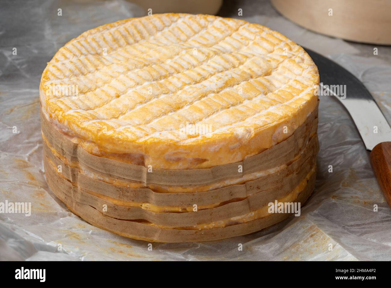 Gros plan sur du fromage Livarot français entier Banque D'Images