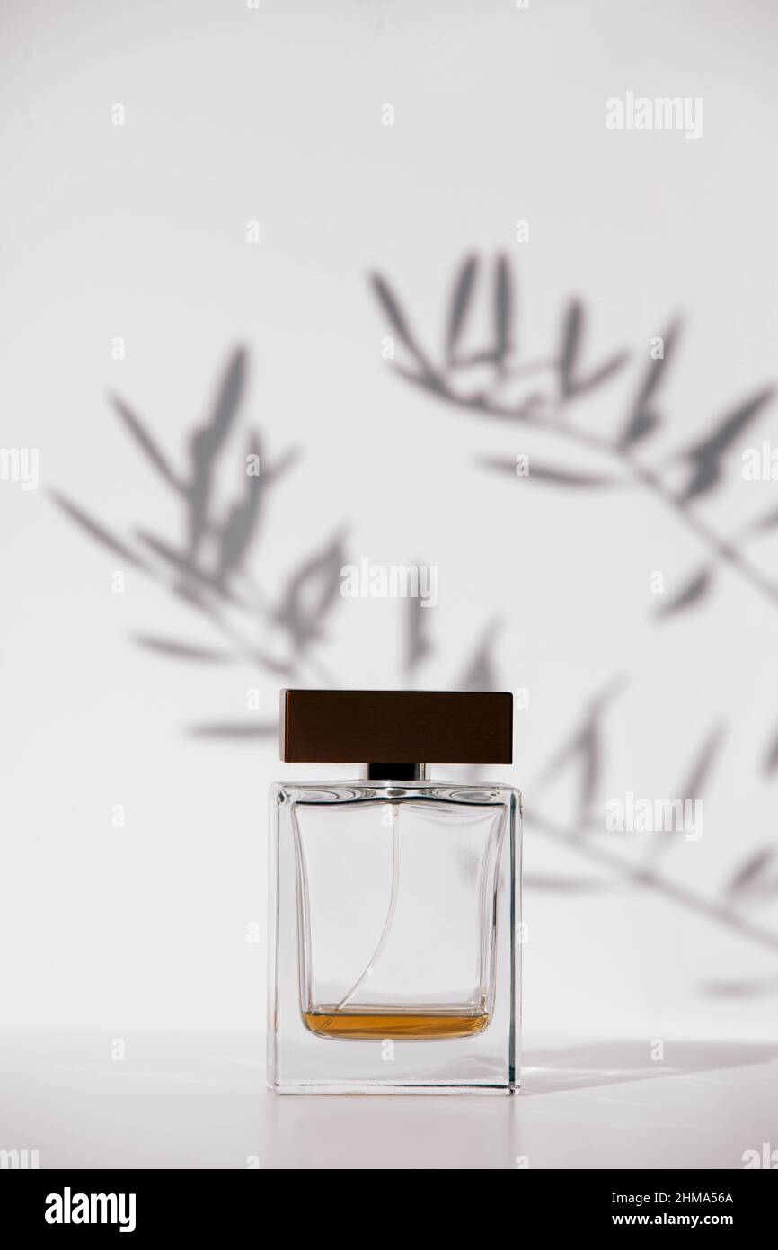 Flacon de parfum transparent en verre avec essence placé sur la surface blanche contre l'arrière-plan avec des ombres de branches avec des feuilles de plante Banque D'Images