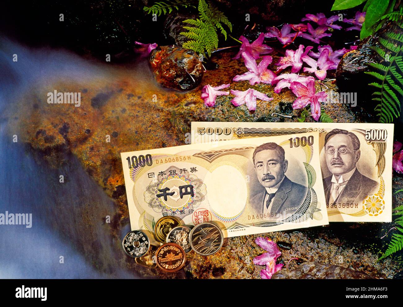 Yen japonais, piscine sur roche, Banque D'Images