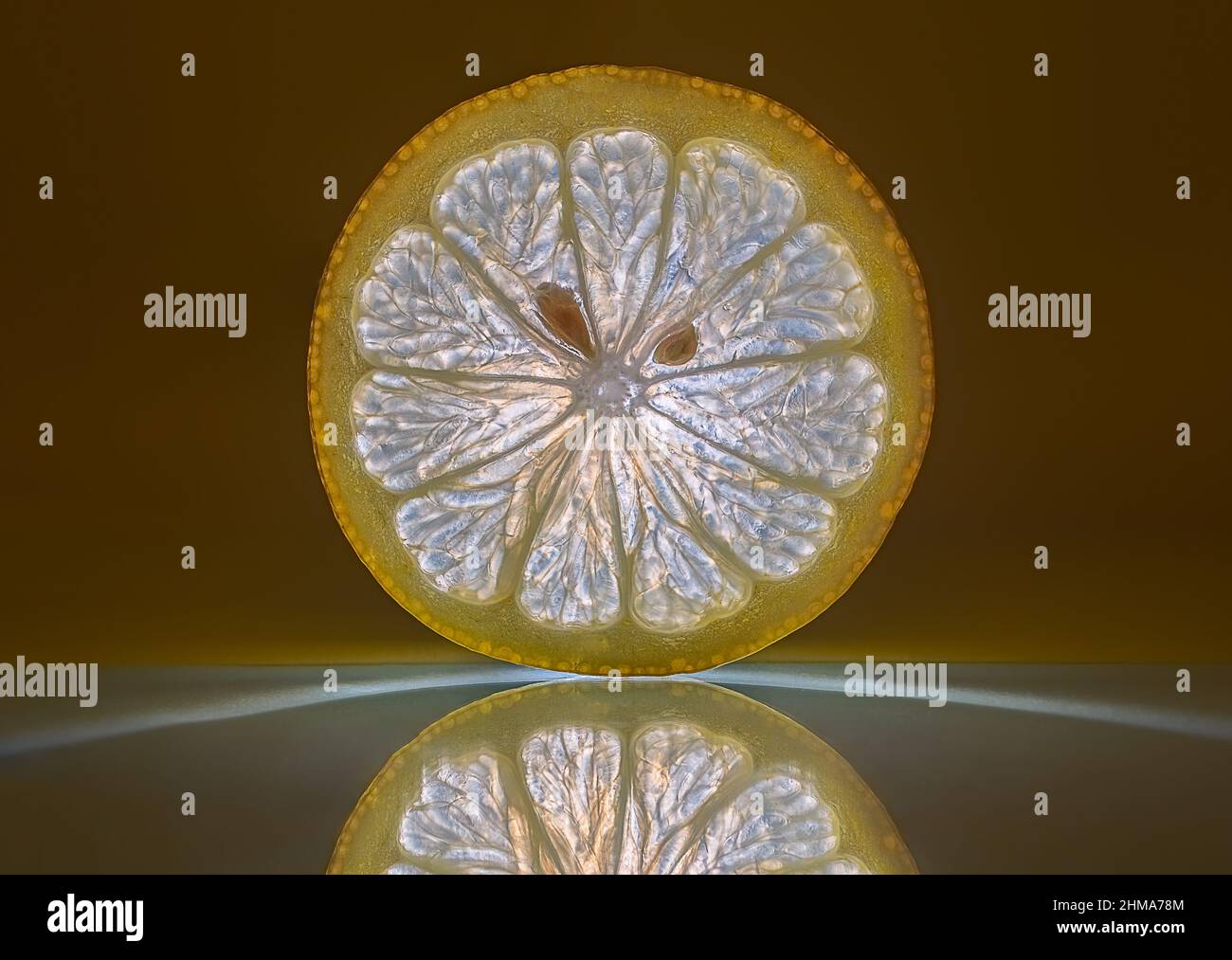 Tranche de citron claire sur le verre avec réflexion Banque D'Images