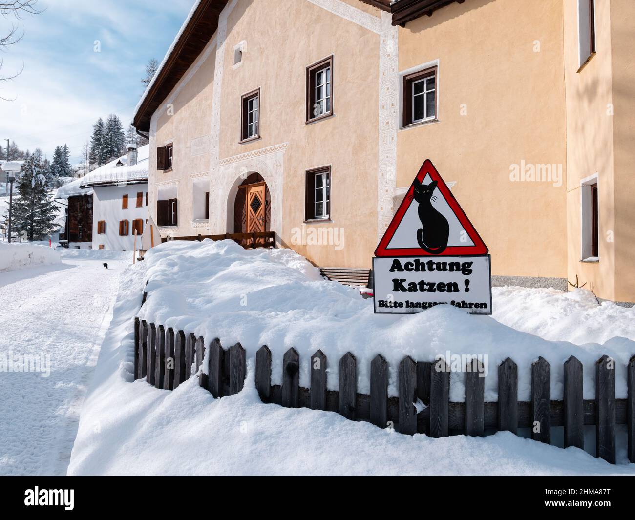 Cinuos-Chel, Suisse - 3 février 2022: Panneau de signalisation avec l'image d'un chat et l'inscription allemande: Faites attention aux chats! Conduire prudemment, Banque D'Images