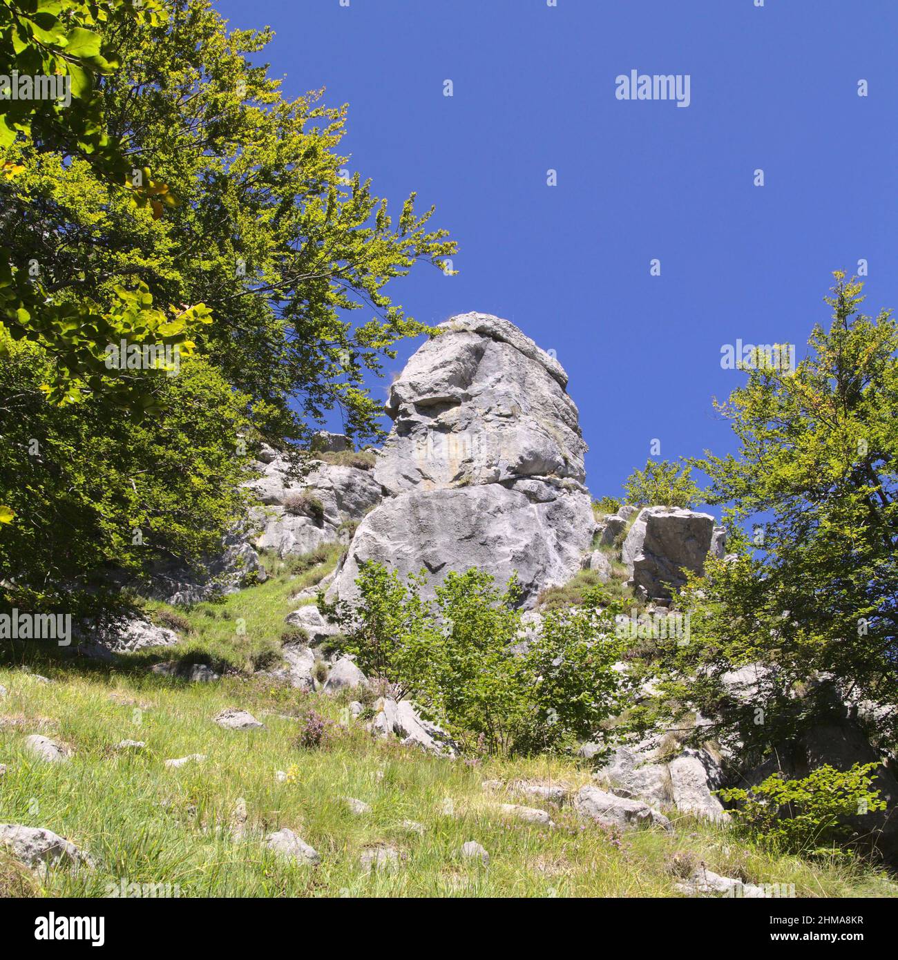 Région montagneuse de Cantabrie dans le nord de l'Espagne, route de randonnée dans le Parc naturel de Collados del Ason Banque D'Images