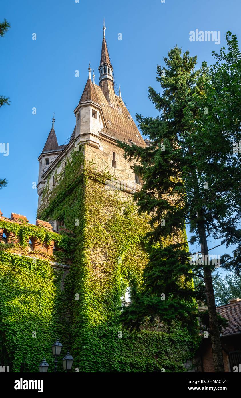 Château Vajdahunyad dans Budapest, Hongrie Banque D'Images