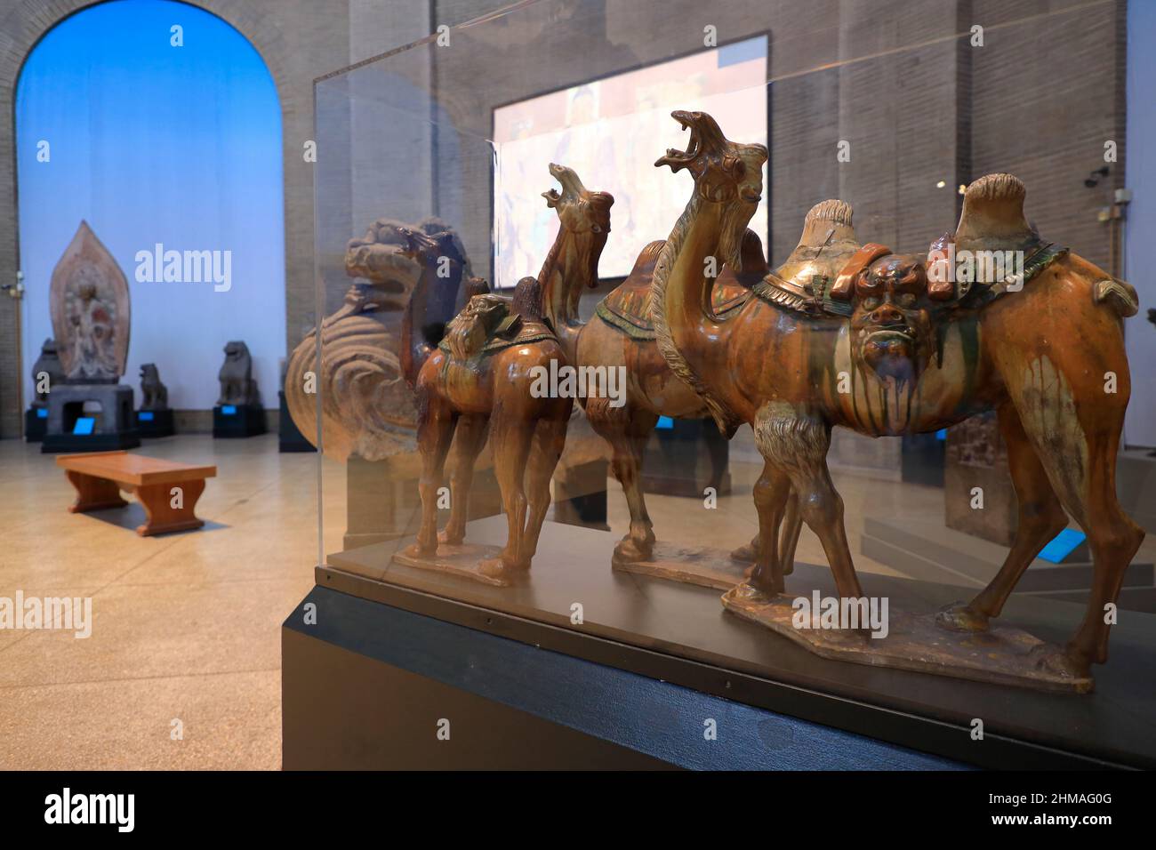 Poterie émaillée de chameaux de la dynastie Tang de Chine aka Tang Sancai chameaux exposés dans la rotonde chinoise de l'Asie Galeries dans Penn Museum.University of Pennsylvania.Philadelphia.Pennsylvania.USA Banque D'Images