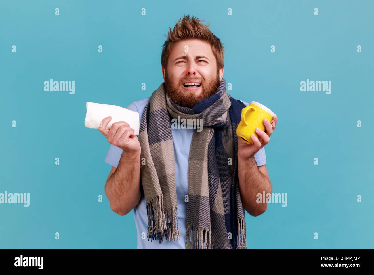 Traitement de la grippe saisonnière. Homme barbu enveloppé d'un foulard regardant avec la grimace mécontente, pleurant, tenant une tasse de thé traitant la grippe, la toux et la fièvre. Studio d'intérieur isolé sur fond bleu. Banque D'Images