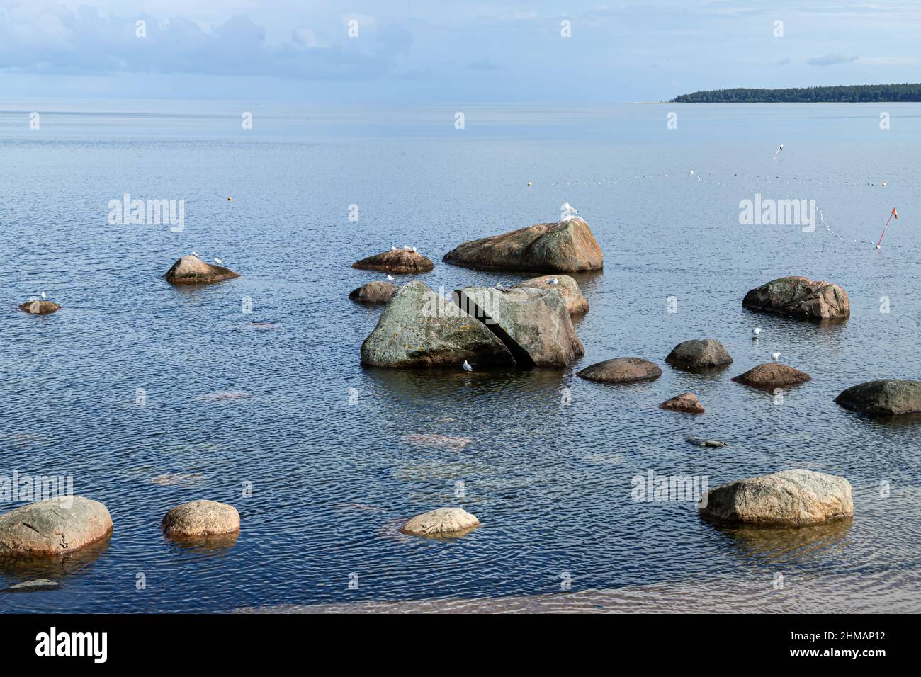 Kaesmu Estonie Baltics Beach chaque oiseau sur son propre paysage de pierre Banque D'Images