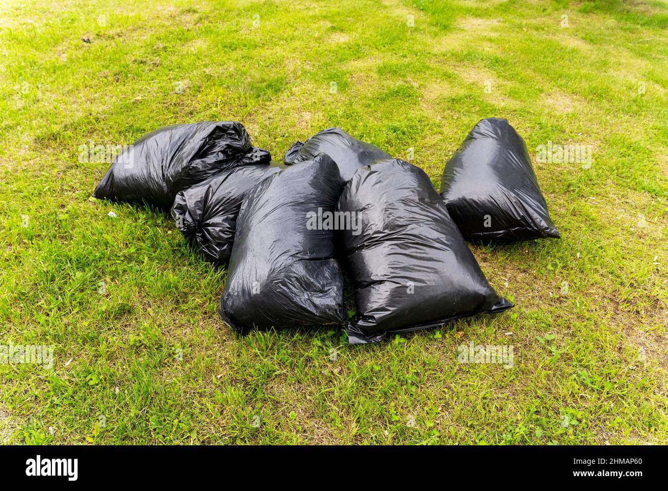 Sacs en plastique noirs remplis d'herbe moussée sur la pelouse, nettoyage de printemps ou d'automne de la ville du feuillage, des ordures, des décharges illégales. Environnement p Banque D'Images