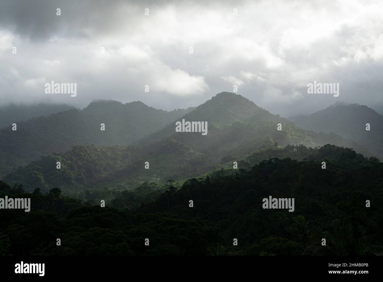 Vue panoramique sur la forêt tropicale au parc national de Santa Fe, Panama Banque D'Images