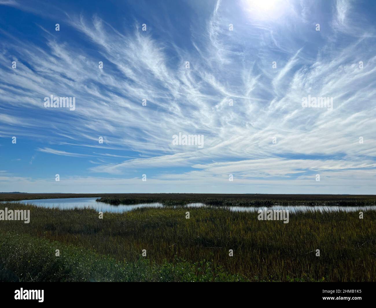 Vue sur le marais saltmarsh le long de la chaussée de l'île Jekyll, près de Brunswick, en Géorgie. Banque D'Images