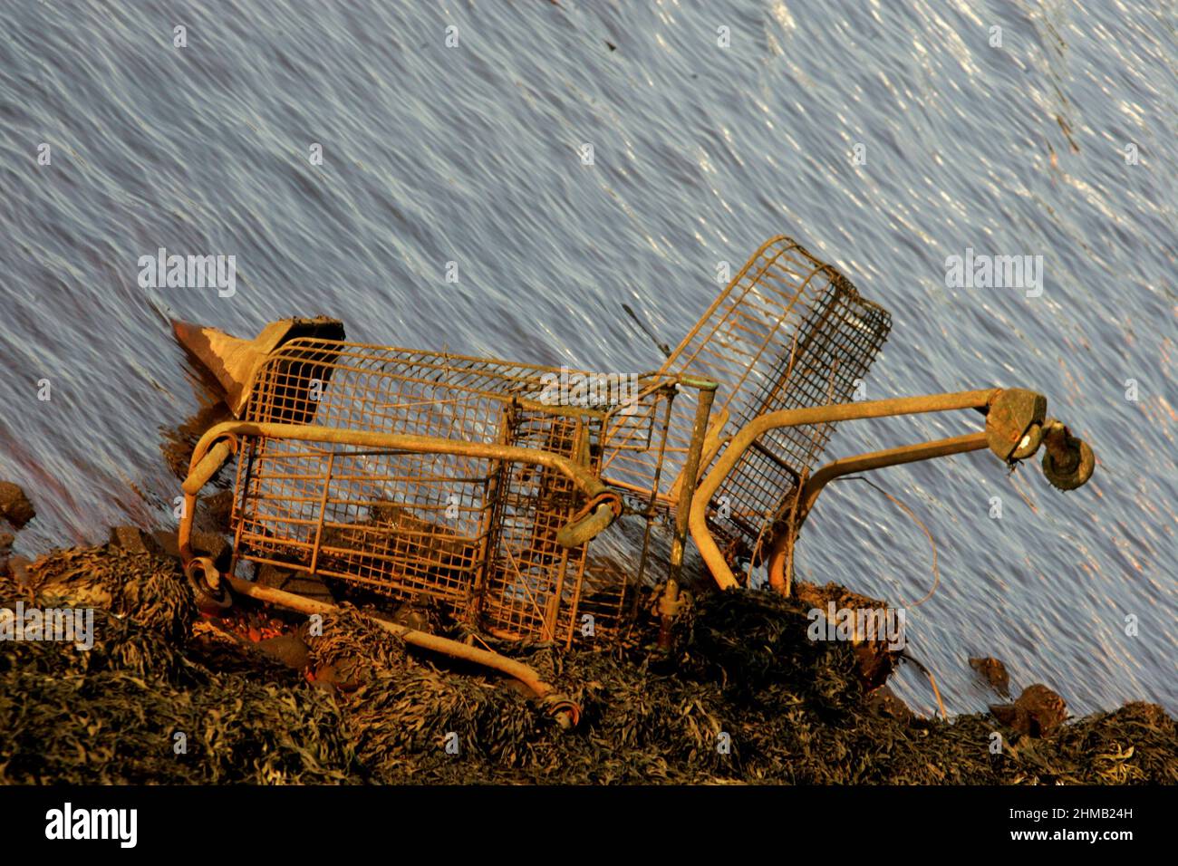 Un tramway de supermarché abandonné rouillé à River Ayr, Ayrshire, Écosse, Royaume-Uni Banque D'Images