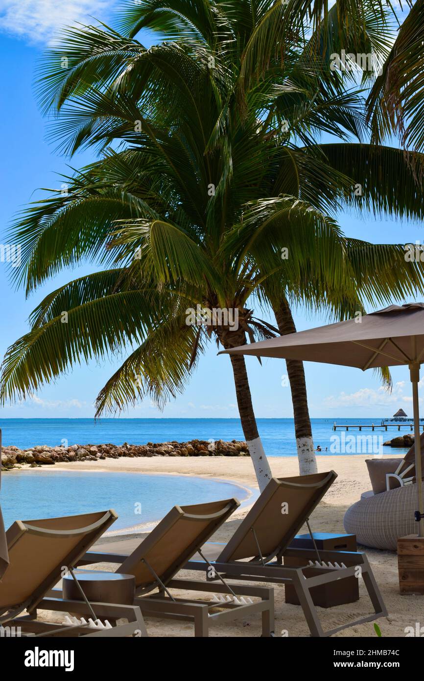 Des chaises longues et un lit de jour rond avec baldaquin sur la plage de San Pedro, Belize, par une journée lumineuse et ensoleillée. Banque D'Images