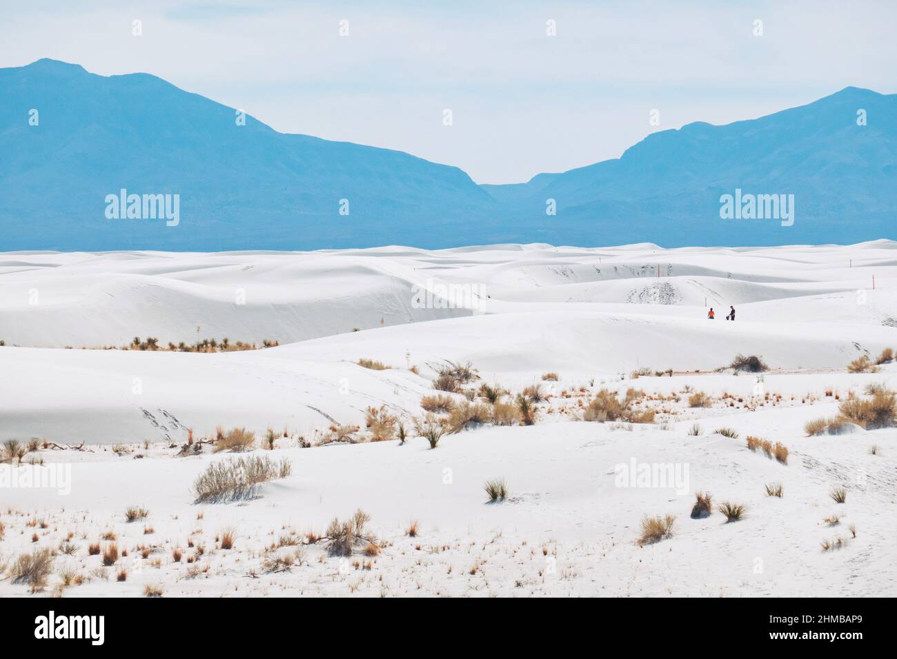 Des figures lointaines dans les vastes dunes blanches du parc national de White Sands, Nouveau-Mexique, États-Unis Banque D'Images