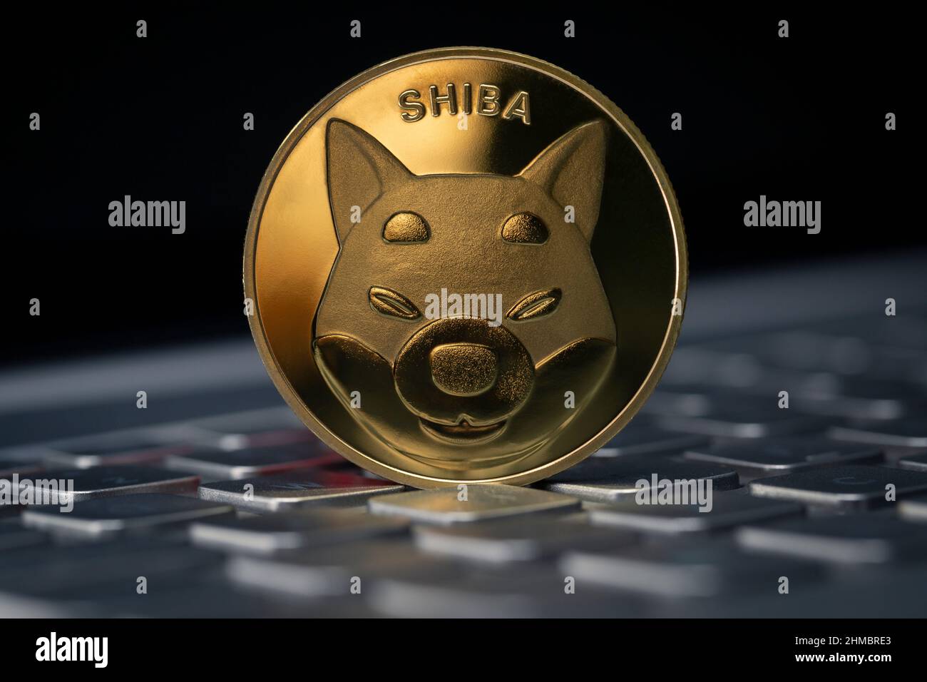 Shiba Inu SHIB crypto-monnaie physique placée sur le clavier dans le fond  sombre Photo Stock - Alamy
