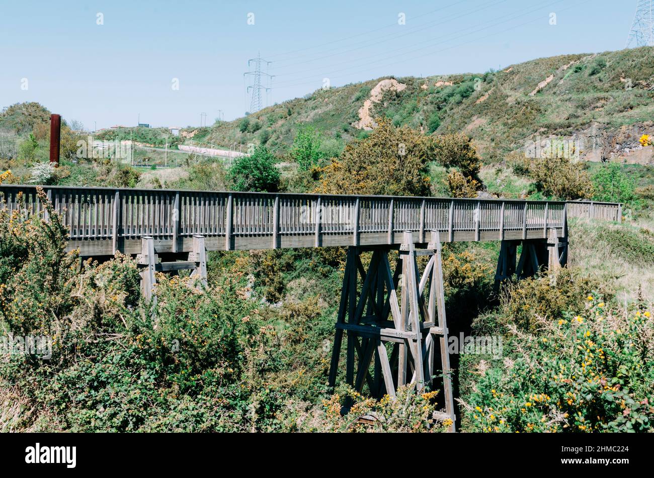 Pont en bois au milieu d'une belle forêt Banque D'Images