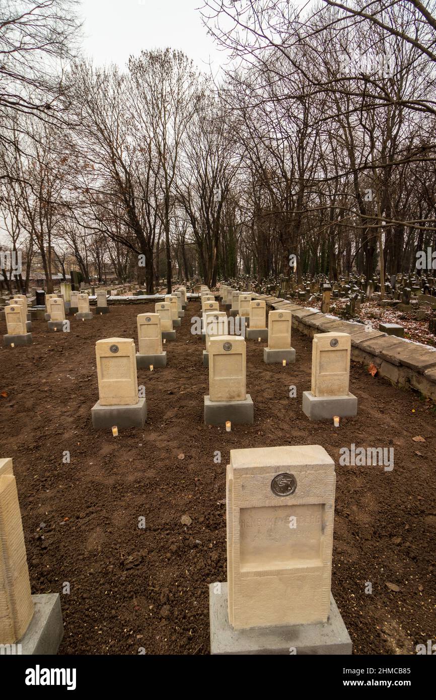 08-12-2021. cracovie-pologne. Nouvelles pierres tombales des tombes des soldats juifs de la première Guerre mondiale restaurées par le gouvernement polonais et le commu juif Banque D'Images