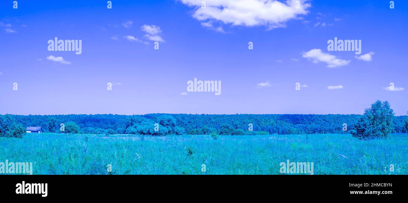 Un paysage pastoral naturel aux couleurs psychédéliques. Forêt, prairie et cottage en bleu et violet Banque D'Images