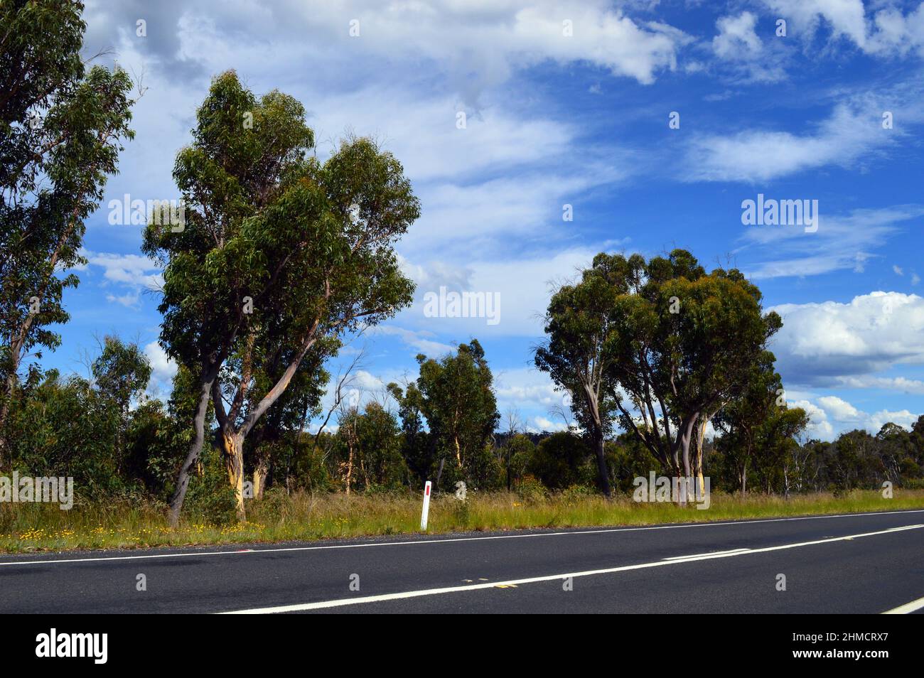 Vue sur la campagne le long de Chifley Drive près de Clarence, Nouvelle-Galles du Sud Banque D'Images