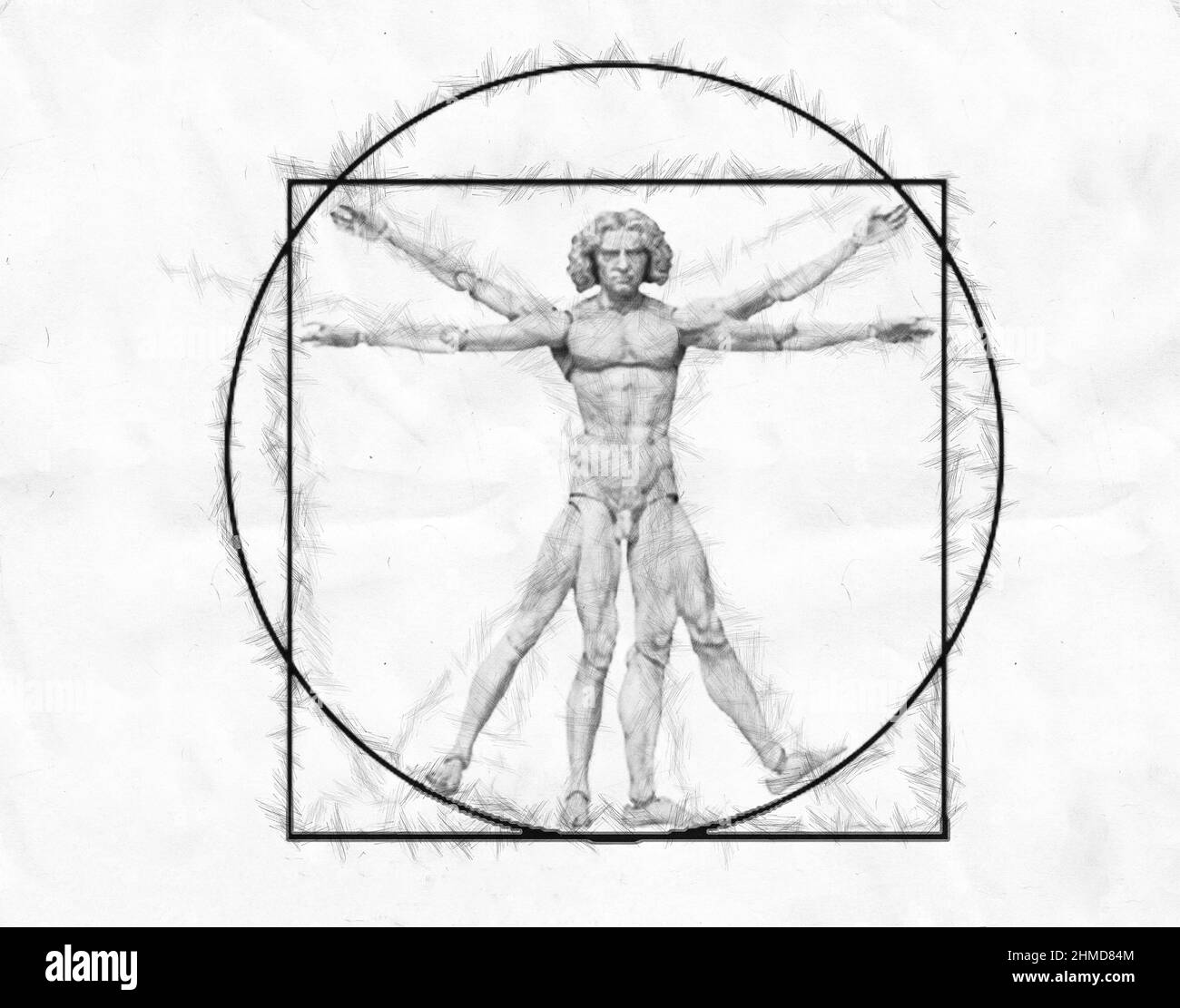 Homme vétruvien, étude de l'anatomie humaine par Leonardo da Vinci . Banque D'Images