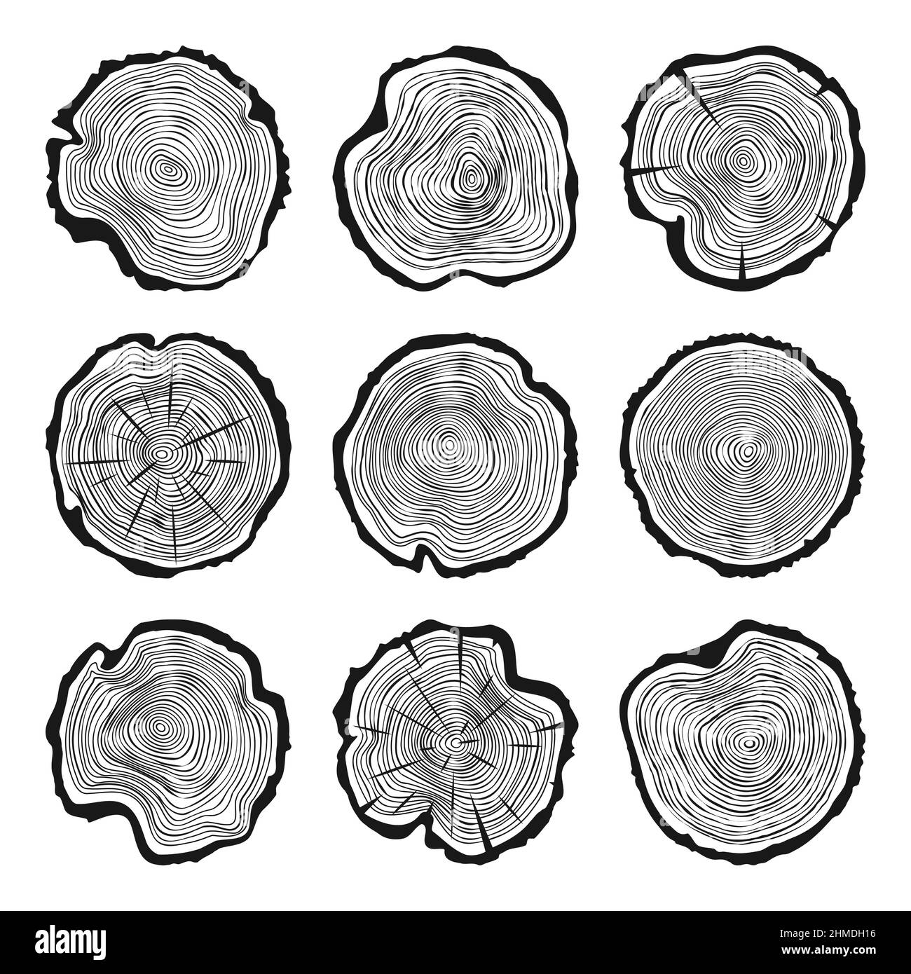 Troncs ronds d'arbre avec des fissures, des tranches de pin ou de chêne sciées, du bois.Bois scié, bois.Texture en bois avec anneaux.Esquisse dessinée à la main.Vecteur Illustration de Vecteur