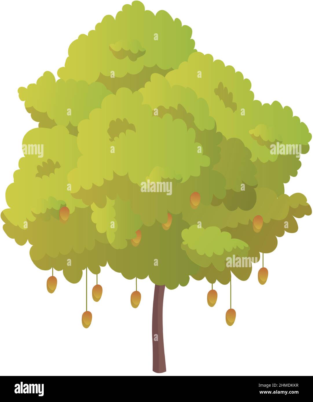 Arbre fruitier vert réaliste avec fruits mûrs isolés sur fond blanc - illustration vectorielle Illustration de Vecteur