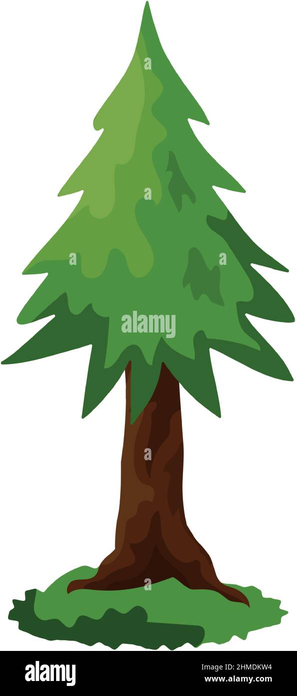 Épinette verte dense et réaliste isolée sur fond blanc - illustration vectorielle Illustration de Vecteur