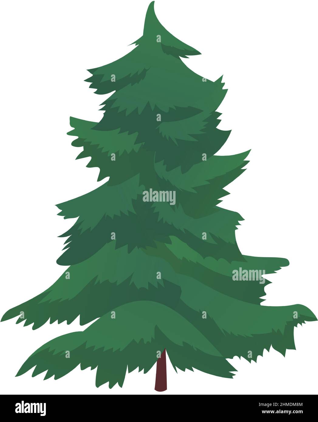 Épinette verte dense et réaliste isolée sur fond blanc - illustration vectorielle Illustration de Vecteur