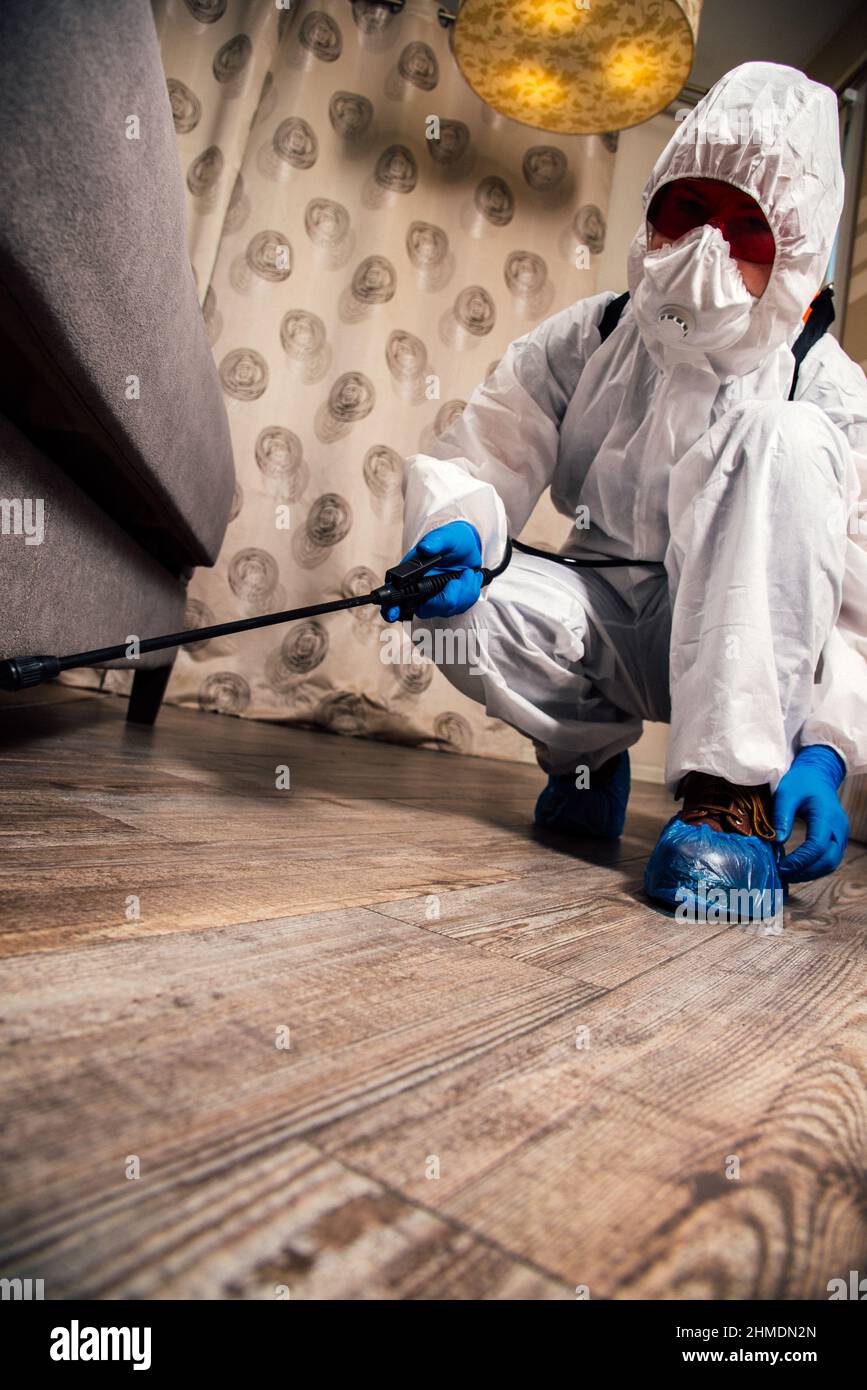 Un exterminateur dans les vêtements de travail pulvérise des pesticides avec un pistolet de