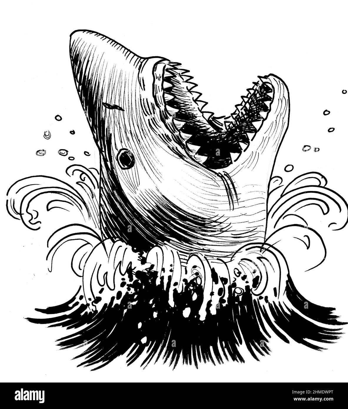 Requin en colère dans l'eau de mer. Dessin noir et blanc Banque D'Images