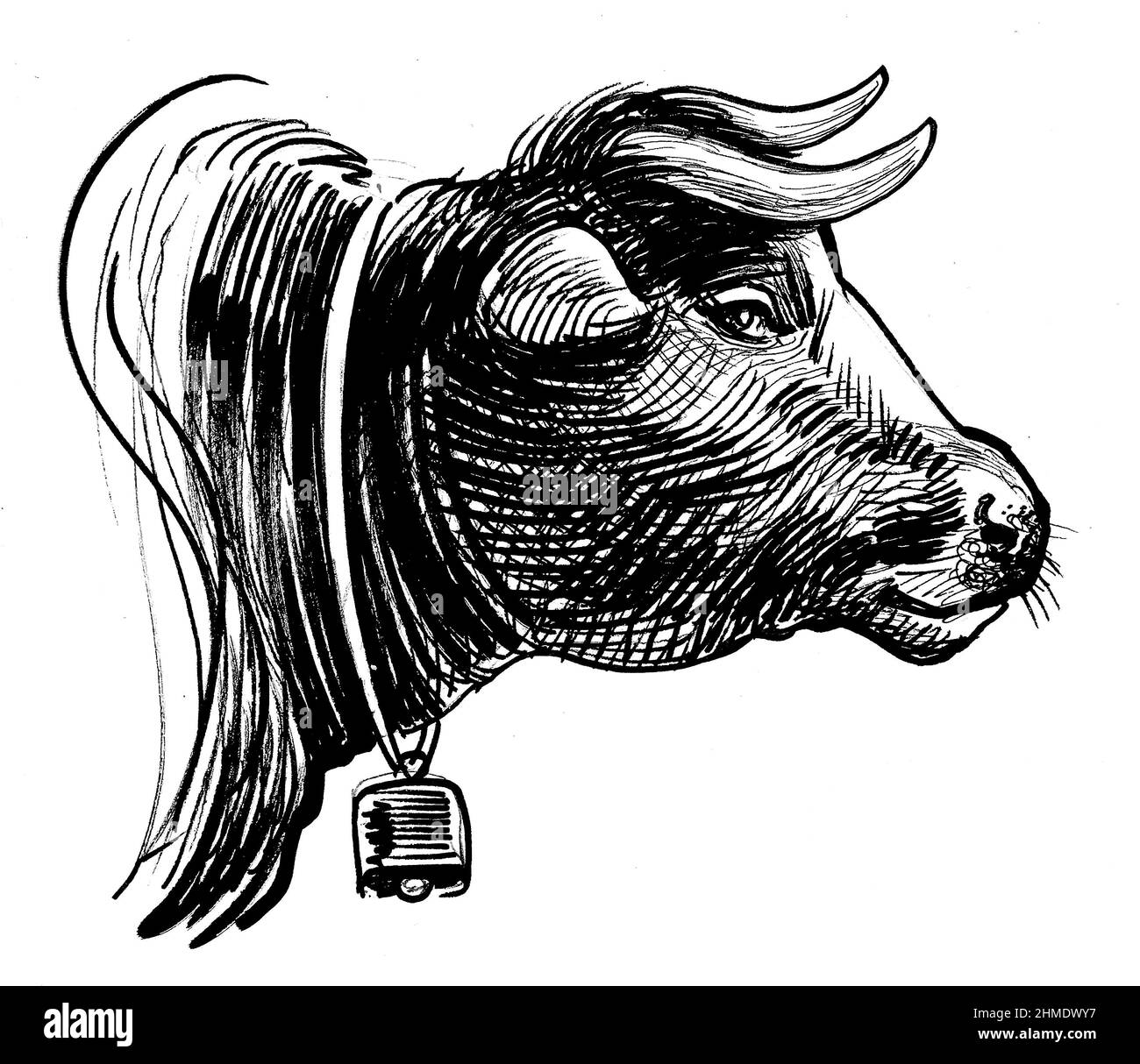 Grosse tête de taureau forte avec une cloche. Dessin noir et blanc Banque D'Images
