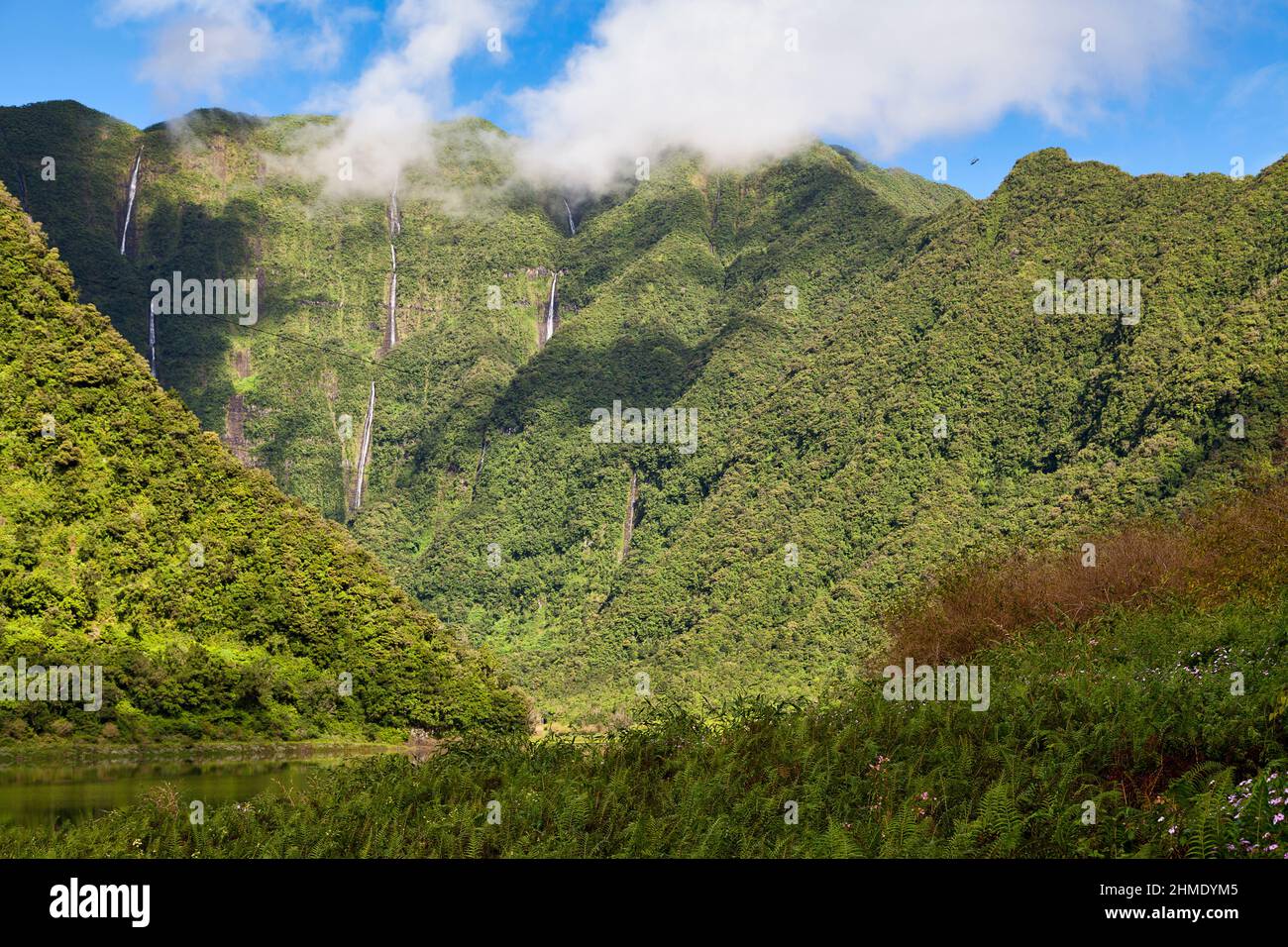 Le Grand Etang et les cascades de bras d'Annette de l'île de la Réunion sont situés sur la commune de Saint-Benoit, à proximité de la Plaine-des-Palmismes, en t. Banque D'Images