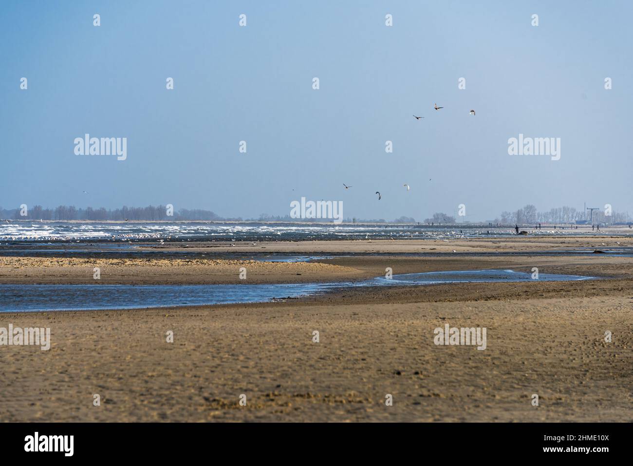 Wintersturm an der Kieler Förde, ein Weststurm Hat das Wasser aus der Kieler Förde in die Ostsee gedrückt, Spaziergänger genießen die Eindrücke. Banque D'Images