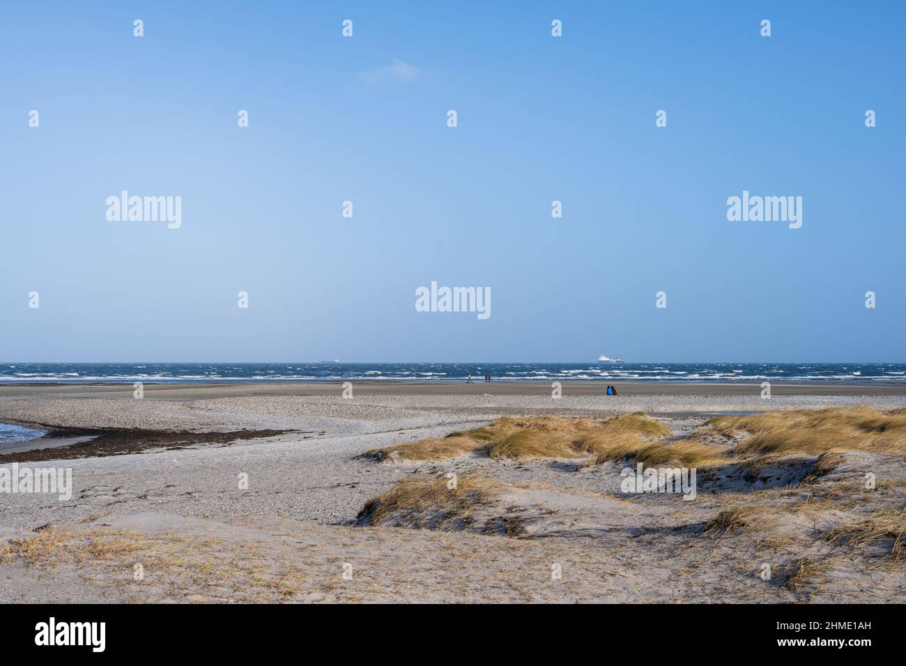 Wintersturm an der Kieler Förde, ein Weststurm Hat das Wasser aus der Kieler Förde in die Ostsee gedrückt, Spaziergänger genießen die Eindrücke. Banque D'Images