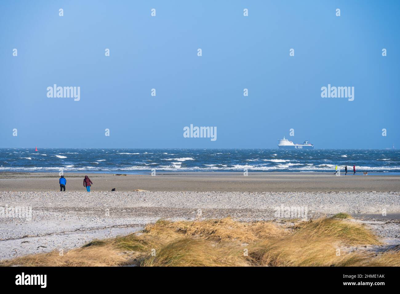 Wintersturm an der Kieler Förde, ein Weststurm Hat das Wasser aus der Kieler Förde in die Ostsee gedrückt, Spaziergänger genießen die Eindrücke. Banque D'Images