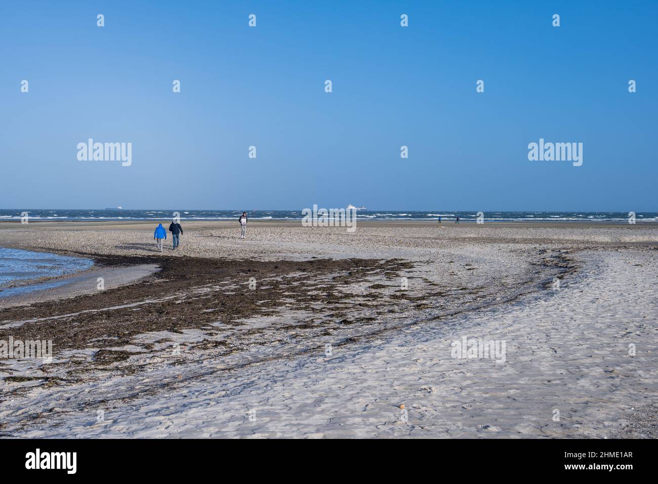 Wintersturm an der Kieler Förde, ein Weststurm Hat das Wasser aus der Kieler Förde in die Ostsee gedrückt, Spaziergänger genießen die Eindrücke. Banque D'Images