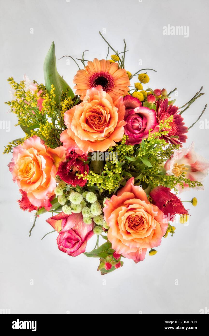 MOTIF FLORAL : bouquet de fleurs sur fond blanc (HDR-Photography) Banque D'Images