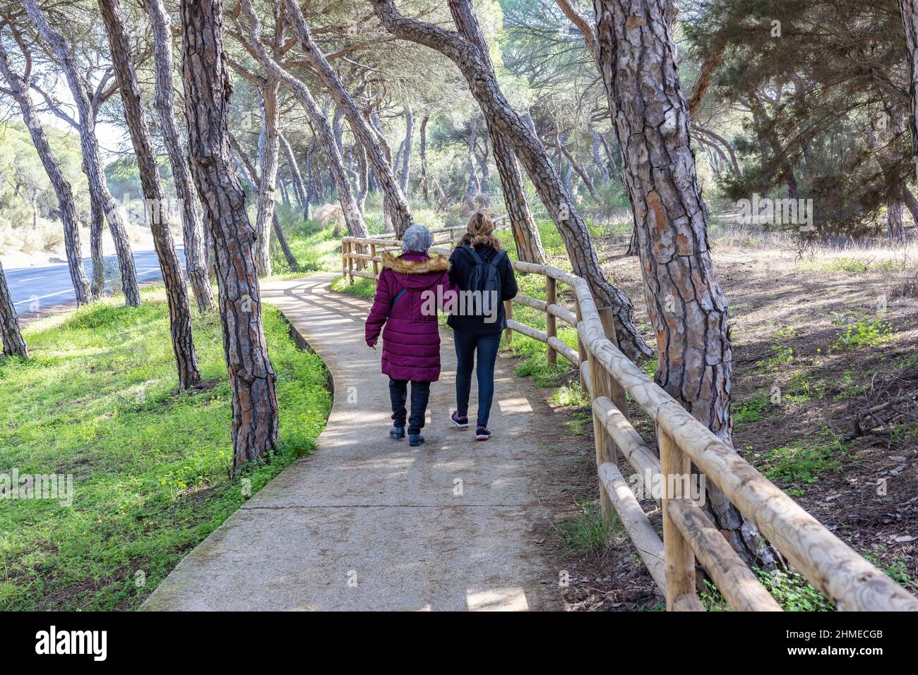 Une femme mûre marchant avec sa mère âgée par chemin forestier entre les pins méditerranéens Banque D'Images
