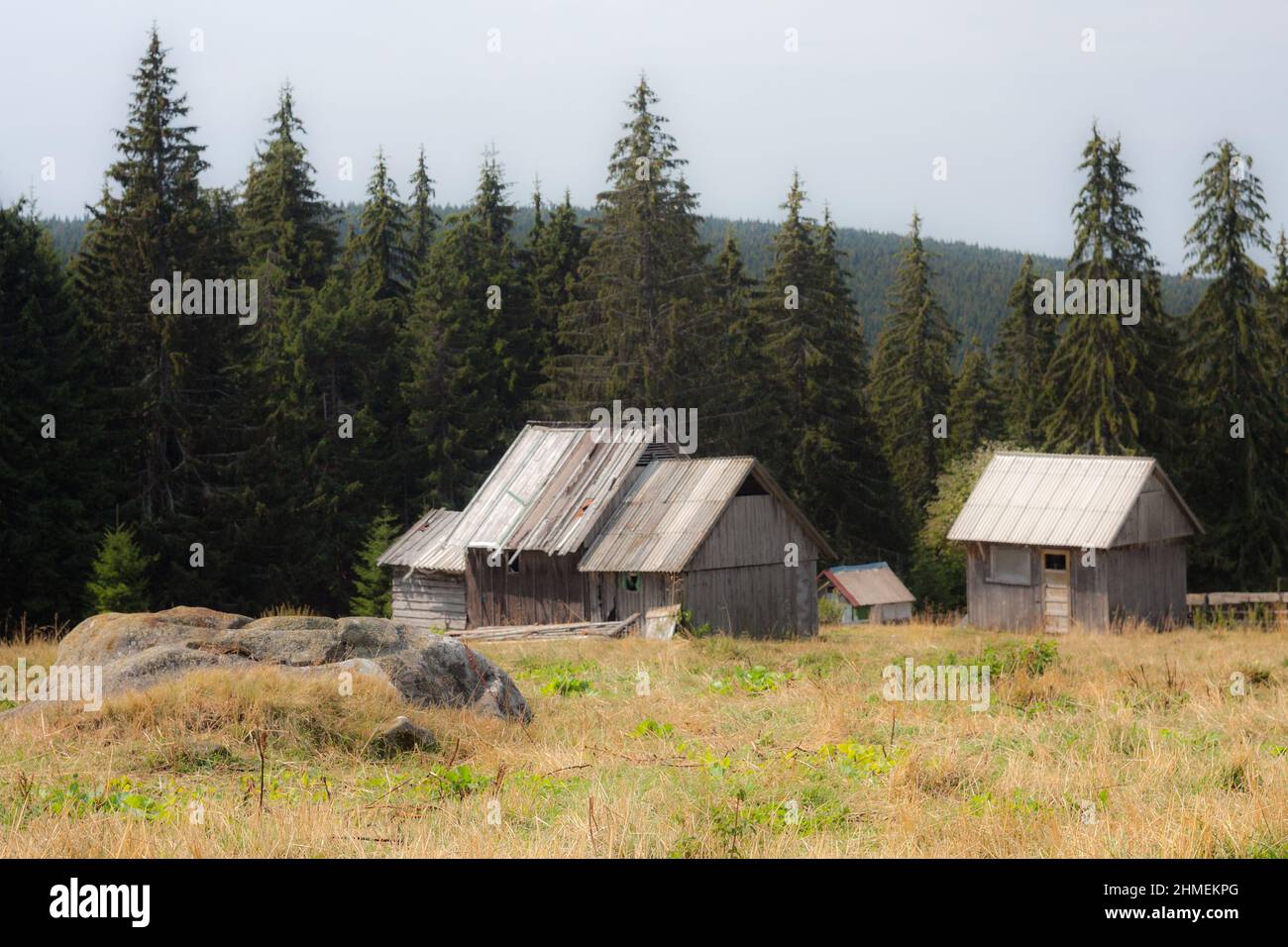 Photo d'un pli de mouton situé à Bucin, en Transylvanie. Banque D'Images