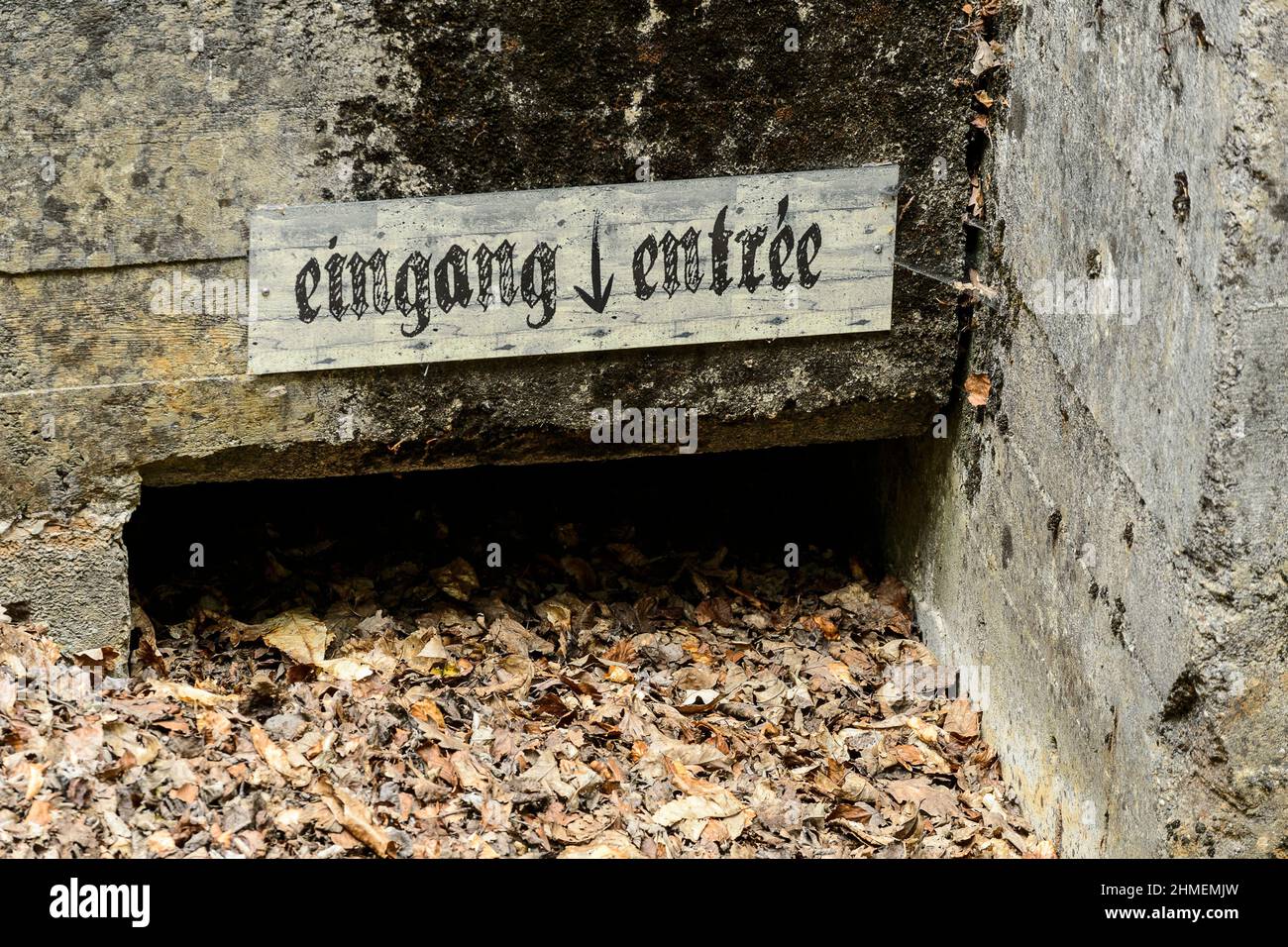 Le blockhaus allemand est une base secrete ou Hitler voulait faire monter des bombes volantes le bunker allemand d'Eperlecques est une base secrète où Banque D'Images